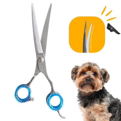 Professor Q – Professionele Hondenschaar – Lichtblauw – 7.5 Inch (19,5 cm) – Up Gebogen Trimschaar – Ideaal voor Langharige Honden – Inclusief Luxe Lederen Etui – Zwart