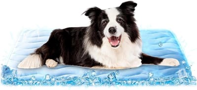 Koelende Hond Mat - Hondenkoelmat Reismat - Huisdier Koelen - Directe Koeling Zonder Gel - 40 x 15 cm - Lichtblauw