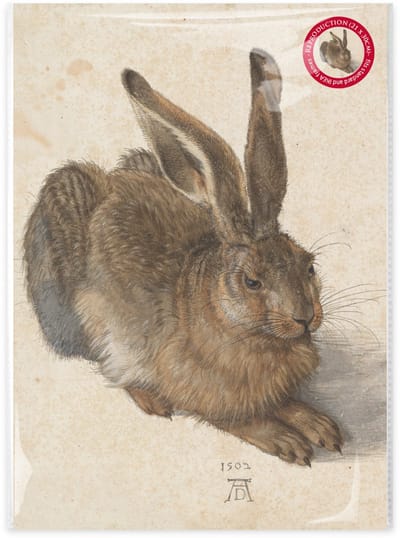 Lanzfeld Dürer - Poster Schilderij A4 - De Jonge Haas - Albrecht Dürer - PP Hoes