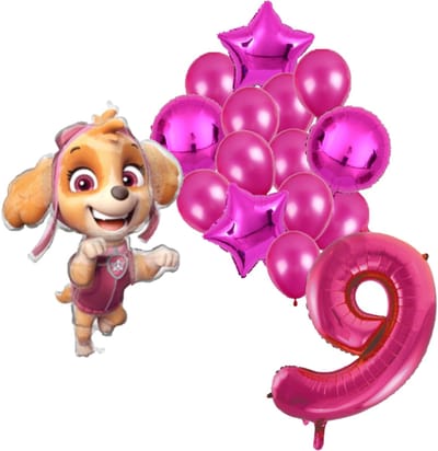 Paw Patrol Skye ballonnen pakket - 61x91cm - Folie Ballon set - Themafeest - Verjaardag - 9 jaar - Ballonnen - Versiering - Helium ballon