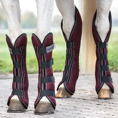 Transportlaarzen voor paarden Kavalkade (x4)
