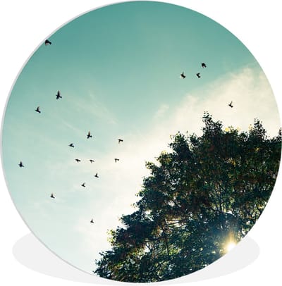 WallCircle® Wandcirkel 120x120 cm - Muurcirkel Bos - Boom - Vogel - Muurdecoratie woonkamer - Wanddecoratie slaapkamer - Kamer decoratie accessoires - Ronde schilderijen XXL
