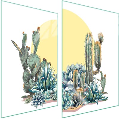 TMK ArtDeko - Serie Kaktus - Glazen Beschermplaat - 35x52 cm - Veilige Montage