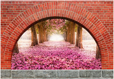 Fotobehangkoning - Behang - Vliesbehang - Fotobehang - Magical Bridge - 3D - 100 x 70 cm