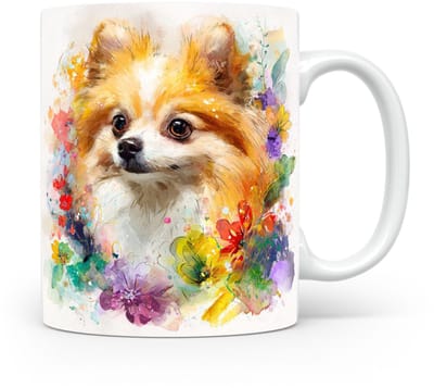 Beker Dwergspitz (Pomeranian)