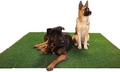 Kunstgras Hondentoilet - Hondenplasmat Trainingsmat - Hond Zindelijk Maken - Geurarm Rubberen Onderkant - 180 x 180 cm - Groen