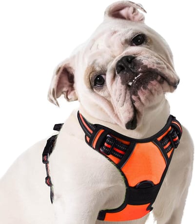 Hondentuig No Pull, Hondenharnas voor Middelgrote Honden, Verstelbare Harnas Hond met Reflecterend Strepen, Gewatteerd Zacht Ademend, Hondentuigje Anti-trek voor Wandelen Training, Oranje M