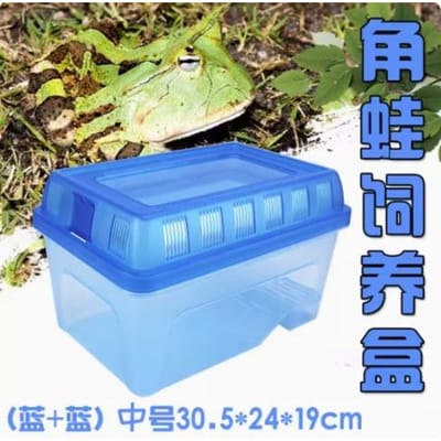 Boîte d'élevage pour reptiles Tortue d'eau Grenouille cornue Salamandre Animal rampant Boîte pour Amphibien Tortue d'eau avec couvercle bleu