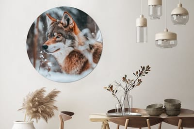 WallCircle - Wandcirkel - Muurcirkel - Wolf - Sneeuw - Winter - Dieren - Natuur - Sneeuw - Aluminium - Dibond - 140x140 cm - Binnen en Buiten
