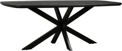 Eettafel Colorado Deens ovaal mangohout 200x100 cm - zwart