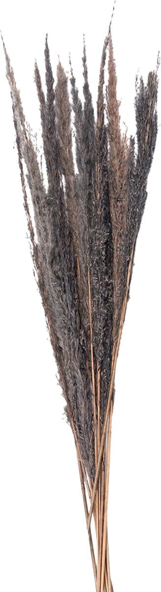 Clayre & Eef Droogbloemen 100 cm Grijs Droogbloemen