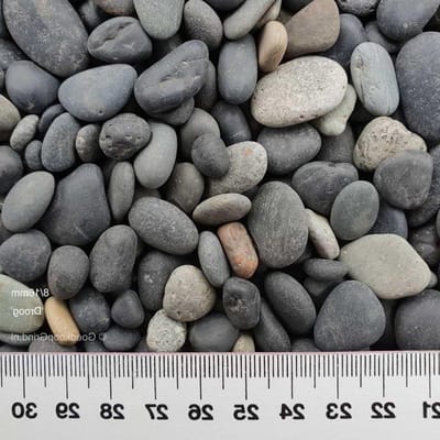 Zwarte Strandkeien - Kasteelgrind decoratie - Tuin decoreren - Natuurproduct Nederland - 8/16 mm 20 kg - Zwart