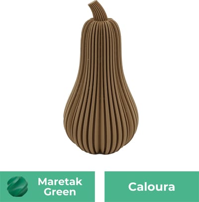 Caloura pompoen beeld – Decoratief beeld - Maretak Groen - 3d geprint beeld – Herfst woondecoratie - :positie: - 11CM