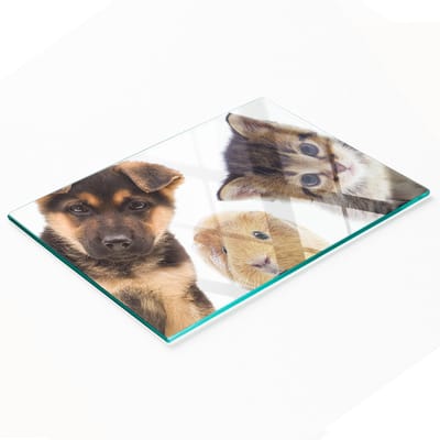Decoratieve glazen snij- en serveerplank met dierenmotief, 80x52 cm