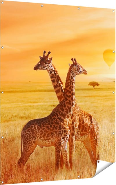 Gards Tuinposter Twee Giraffen met Twee Oranje Luchtballonnen - 120x160 cm - Tuindoek - Tuindecoratie - Wanddecoratie buiten - Tuinschilderij