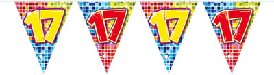 17 Jaar Mini Vlaggenlijn Birthday Blocks - 3 meter
