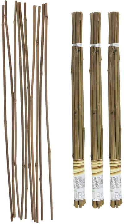 Gerimport Plantenstokken - 30x stuks - bamboe - 60 cm - plantensteun / tonkinstokken