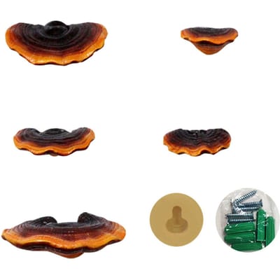 Simulatie Paddenstoel Planken Decoratieset Hars Kunstmatige Mini Reishi Paddenstoel Wandplanken voor black