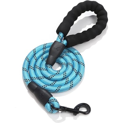 Laisse réfléchissante et Durable pour grand chien, corde de course pour entraînement, collier de taille moyenne et grande, corde de plomb solide pour Labrador Rottweiler 1.5m(5ft) bleu clair