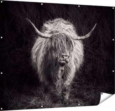Gards Tuinposter Schotse Hooglander Koe - Zwart Wit - 150x120 cm - Tuindoek - Tuindecoratie - Wanddecoratie buiten - Tuinschilderij