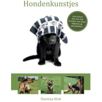 Hondenkunstjes - Danitsja Klok