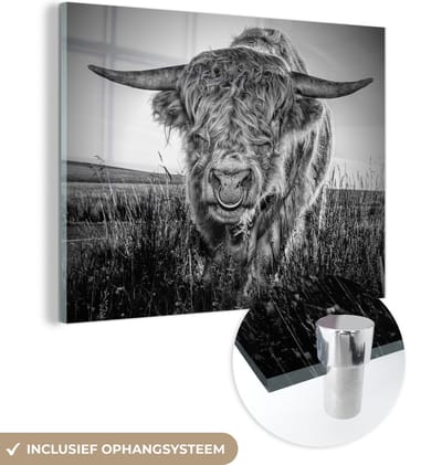 MuchoWow® Glasschilderij 160x120 cm - Schilderij acrylglas - Schotse Hooglander - Zwart - Wit - Foto op glas - Schilderijen