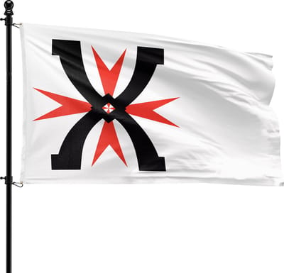 VlagDirect - Montfoort vlag - Gemeente Montfoort vlag - 90 x 150 cm.