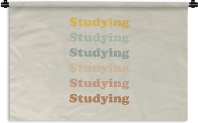 Wandkleed - Wanddoek - Quotes - Studenten - Studeren - Motivatie - 180x120 cm - Wandtapijt