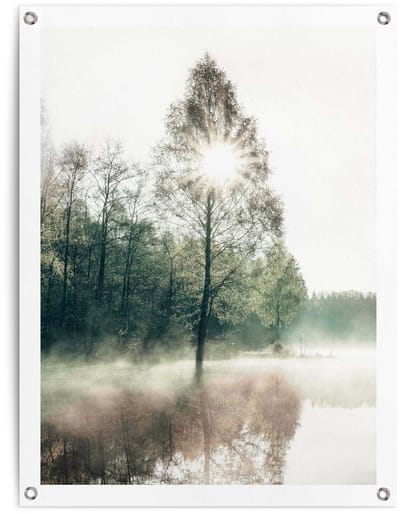 Tuinposter Zon door de bomen - 80 x 60 - Canvas - REINDERS