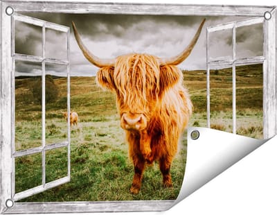 Gards Tuinposter Doorkijk Schotse Hooglanders in de Weide met Wolken - 60x40 cm - Tuindoek - Tuindecoratie - Wanddecoratie buiten - Tuinschilderij