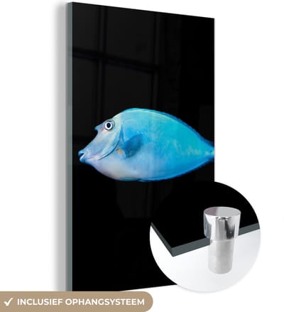 MuchoWow® Glasschilderij 120x180 cm - Schilderij acrylglas - Vis - Zeedieren - Zwart - Foto op glas - Schilderijen