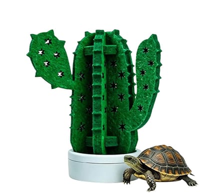 Luchtbevochtiger Terrarium - Vochtregulator Reptiel - Gezond Klimaat - Natuurlijke Verdamping - 15 x 15 x 10 cm - Cactus