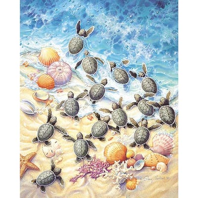 Diamant kleine schildpadden op strand diamant schilderij kruissteek Strass mozaïek decor zeeschelp 20X30CM gray