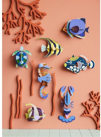 Zeedieren Klein - Clownvis