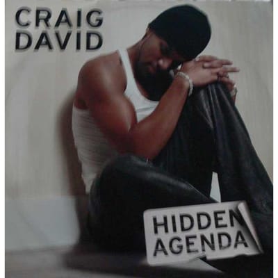 12-inch Plaat CRAIG DAVID - Hidden Agenda TWR00610 Wildstar Record 2002 VK Dans & Electronica Gebruikt gray