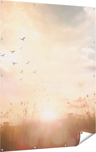 Gards Tuinposter Silhouet Vogels tijdens Zonsopkomst - 120x160 cm - Tuindoek - Tuindecoratie - Wanddecoratie buiten - Tuinschilderij