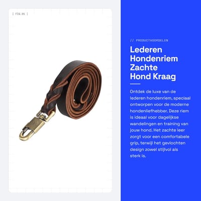 Dailygoods- Hondenriem Zacht Lederen - Gevlochten Hond Training - 2,5 cm Breedte - 150 cm Lengte - Huisdier Ketting - Schokbestendig - Hondentuig