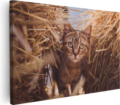 Artaza Canvas Schilderij Poes In Hooi - 30x20 cm - Klein - Wanddecoratie Katten - Muurdecoratie Dierenkop - Kamer Accessoires