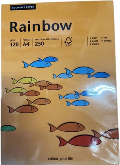 Papyrus Rainbow 120gram kl-24 oranje