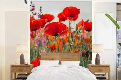 Behang - Fotobehang Klaproos - Bloemen - Rood - Paars - Weide - Breedte 190 cm x hoogte 260 cm