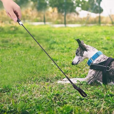 Flexibele Zwarte Versterkte Plastic Trainingszweep voor Honden - Effectieve Gedragsbeheersing en Trainingstools voor Huisdieren, Lichtgewicht en Duurzaam