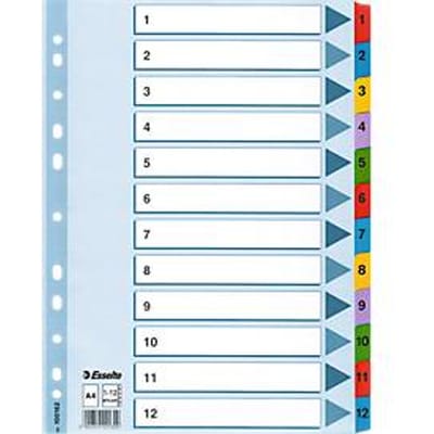 Esselte Index A4 - Tabs 1-12 - Karton met Mylar Versterkt - 11-gaats - Meerkleurig