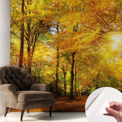 Coloray Zelfklevend Behang - Gouden bladeren Zelfklevend fotobehang - 250x250 cm - Geel Zelfklevend Behang - Voor de woonkamer, slaapkamer en kantoor - Plakklare achterzijde - Stickerbehang op rol