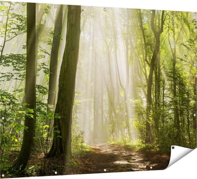Gards Tuinposter Bos met Bomen en Zonneschijn - 160x120 cm - Tuindoek - Tuindecoratie - Wanddecoratie buiten - Tuinschilderij