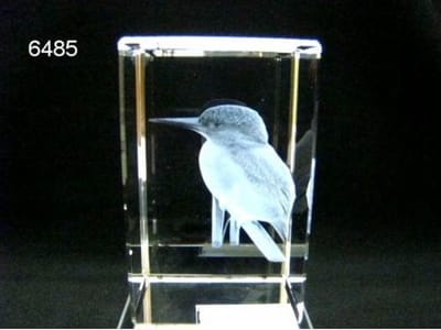 3D lasergravure ijsvogel – Glasblokje – 5 x 5 x 8 cm – Decoratie