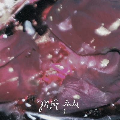 Mint Field - Aprender a Ser (LP) (Coloured Vinyl) (Limited Edition)