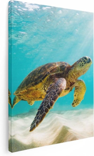 Artaza Canvas Schilderij Schildpad - 30x40 cm - Klein - Muurdecoratie Strand - Wanddecoratie Zee - Kamer Accessoires