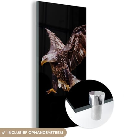 MuchoWow® Glasschilderij 20x40 cm - Schilderij acrylglas - Adelaar - Vogel - Veren - Foto op glas - Schilderijen