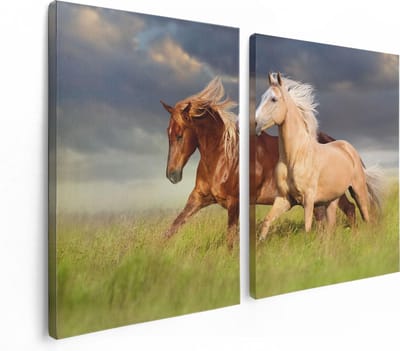 Artaza Canvas Schilderij Tweeluik Bruin En Wit Paard In De Wei - 120x80 - Foto Op Canvas - Canvas Print