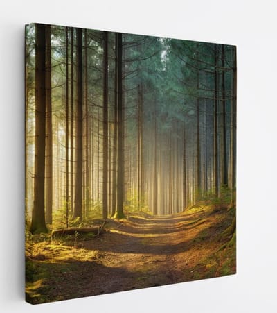 Saammp Canvas Schilderij - Bospad tussen de bomen - Landschap - Natuur - 20x20 - Foto op canvas - Wanddecoratie - Muurdecoratie Woonkamer - Slaapkamer decoratie - Canvas Print